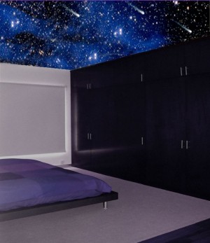 Israel de la Vega Avisos gratis en Mexico lindo en Xochimilco |  Universe Deco estrellas como nunca , estrellas, decoracion, habitacion, cielo nocturno, techo iluminado
