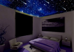 Israel de la Vega Avisos gratis en Mexico lindo en Ciudad de Mexico |  Universe Deco Decoracion unica, Techo desvanecido,Decoracion Interiores