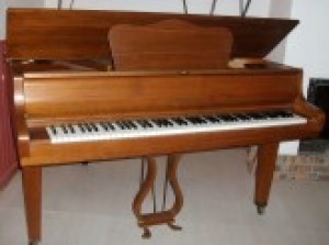 boro Avisos gratis en Mexico lindo en Carmen |  Venta tornillo precio mi piano, Venta Piano 1/4 de queue