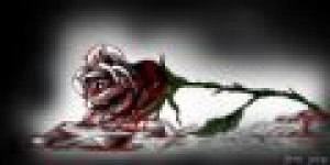 sin nombre Avisos gratis en Mexico lindo en Acapulco de Ju&aacute;rez |  oracion para el amor, pareja