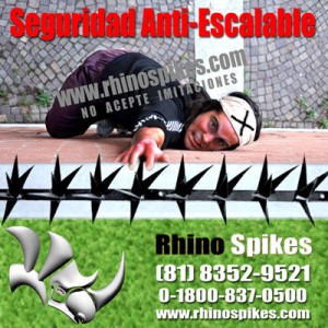 RHINO SPIKES Avisos gratis en Mexico lindo en Monterrey |  RHINO SPIKES, Picos, Protectores y Rejas de Seguridad., Expertos en Seguridad Perimetral