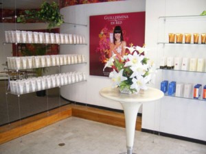 Silvia Avisos gratis en Mexico lindo en Guadalajara |  VENTA DE FRANQUICIA GUILLERMINA EN RED, Una franquicia que huele bien