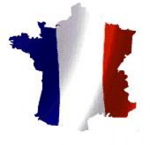 ROSA Avisos gratis en Mexico lindo en San Juan del R&iacute;o |  CLASES PARTICULARES DE FRANC&eacute;S, RESULTADOS GARANTIZADOS