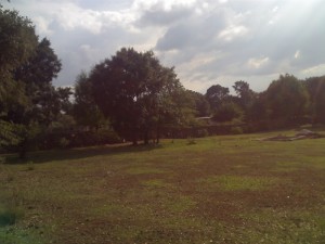 CARLOS MALDONADO Avisos gratis en Mexico lindo en Jilotepec |  JILOTEPEC ALDAMA, vendo terreno a 30 min de jilo