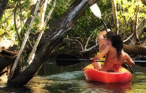 Cancun Reservas Avisos gratis en Mexico lindo en Canc&uacute;n |  Todo incluido en la Riviera Maya, Vacaciones