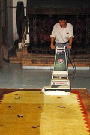 eduardo c Avisos gratis en Mexico lindo en Alvaro Obreg&oacute;n |  ((LIMPIEZA DE ALFOMBRAS www.limpieza-fumisa.com.mx 56811674)), limpieza