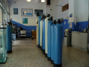 SHANE HAZLEHURST-HOW Avisos gratis en Mexico lindo en Benito Ju&aacute;rez |  FILTROS DE AGUA-PURIFICADORES DE AGUA- LUZ UV-CARTUCHOS-OSMOSIS INVERSA, OSMOSIS INVERSA,CARBON  ACTIVADO, CARTUCHOS, PORTA CARTUCHOS,OZONO