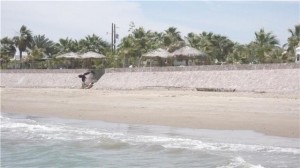 fernando saucedo rey Avisos gratis en Mexico lindo en Hermosillo |  VENDO PROPIEDAD EN PLAYA, CAMPO TURISSTICO EN BAHIA KINO